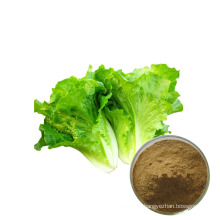 High quality 100% natural wild lettuce extract powder